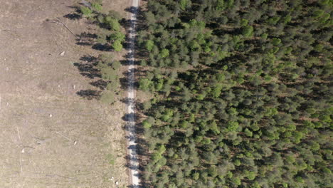 Dirt-road-divides-forest-area-and-clearcut-area,-top-down-drone-trucking