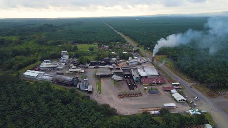 Aerial-drone-shot,-above-a-palm-plantation-with-the-smoking-chimney-of-the-processing-factory