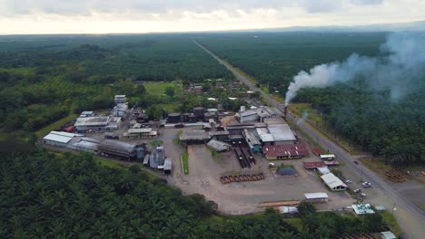 aerial drone shot, above a palm plantation with the smoking chimney of the processing factory