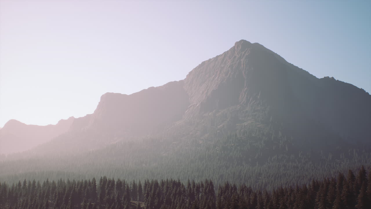 pico de montaña con bosque