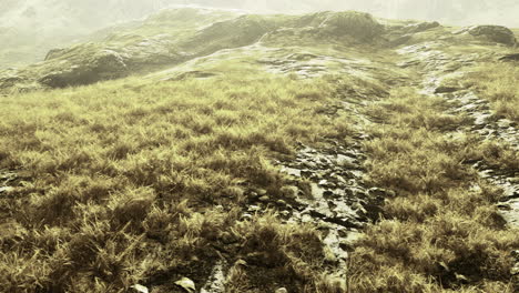 vibrant green landscape illuminated by soft morning light at dawns embrace