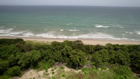 aerial view of a pristine tropical beach with palm trees and waves