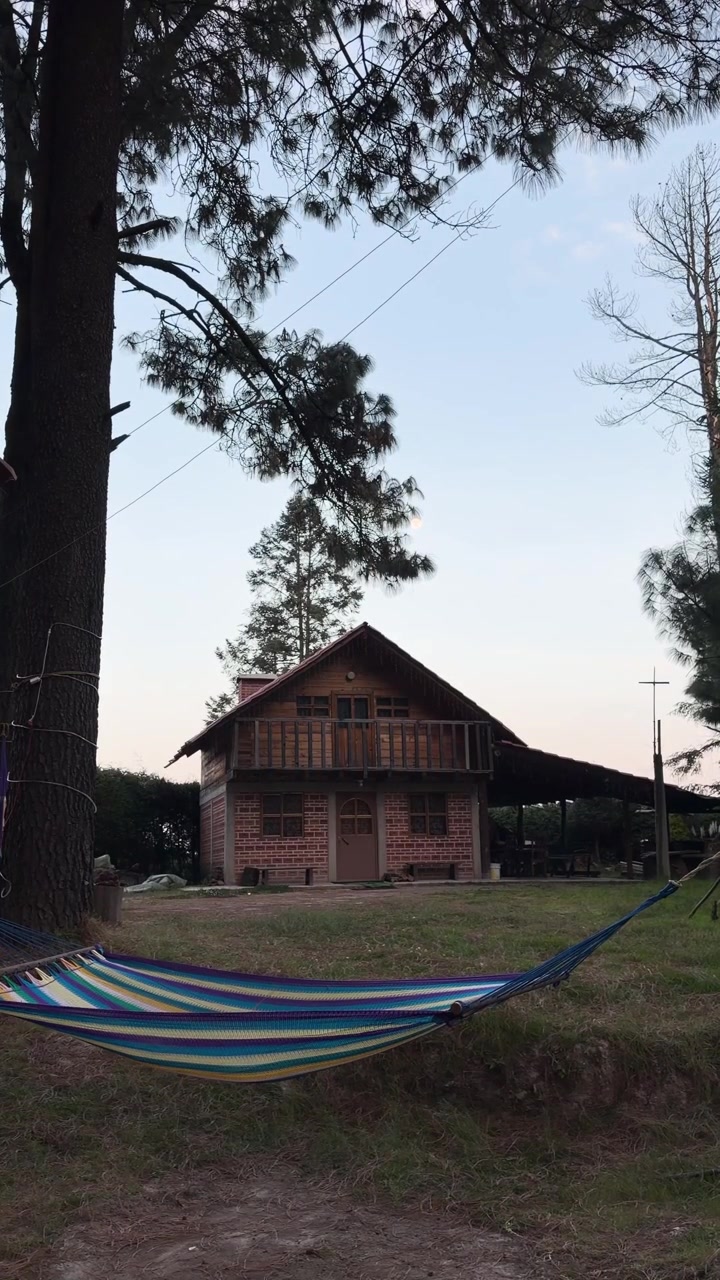 Amaca colorata davanti a una baita rustica tra i pini nel bosco, verticale.