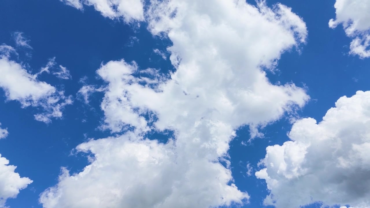 明るい日中、ふわふわとした白い積雲が鮮やかな青空をゆっくりと横切っていく。