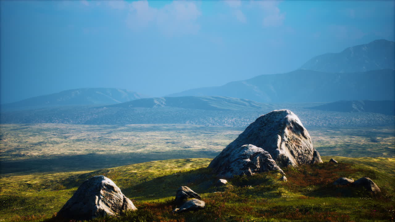 풀 ⁇  에 있는 큰 돌 들