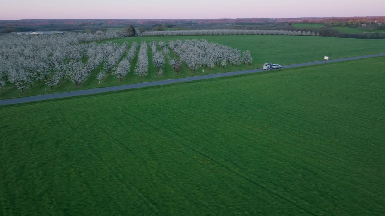 During golden hour, a drone captures a straight path through blossoming plum orchards and lush green lawns in Dordogne, France