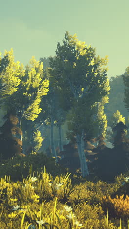 hermoso paisaje forestal