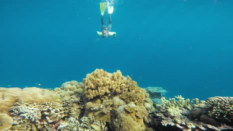 un buzo en un traje de buceo de cuerpo completo explorando un vibrante arrecife de coral
