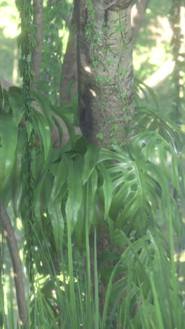 lush tropical jungle with sunlight and lush green foliage