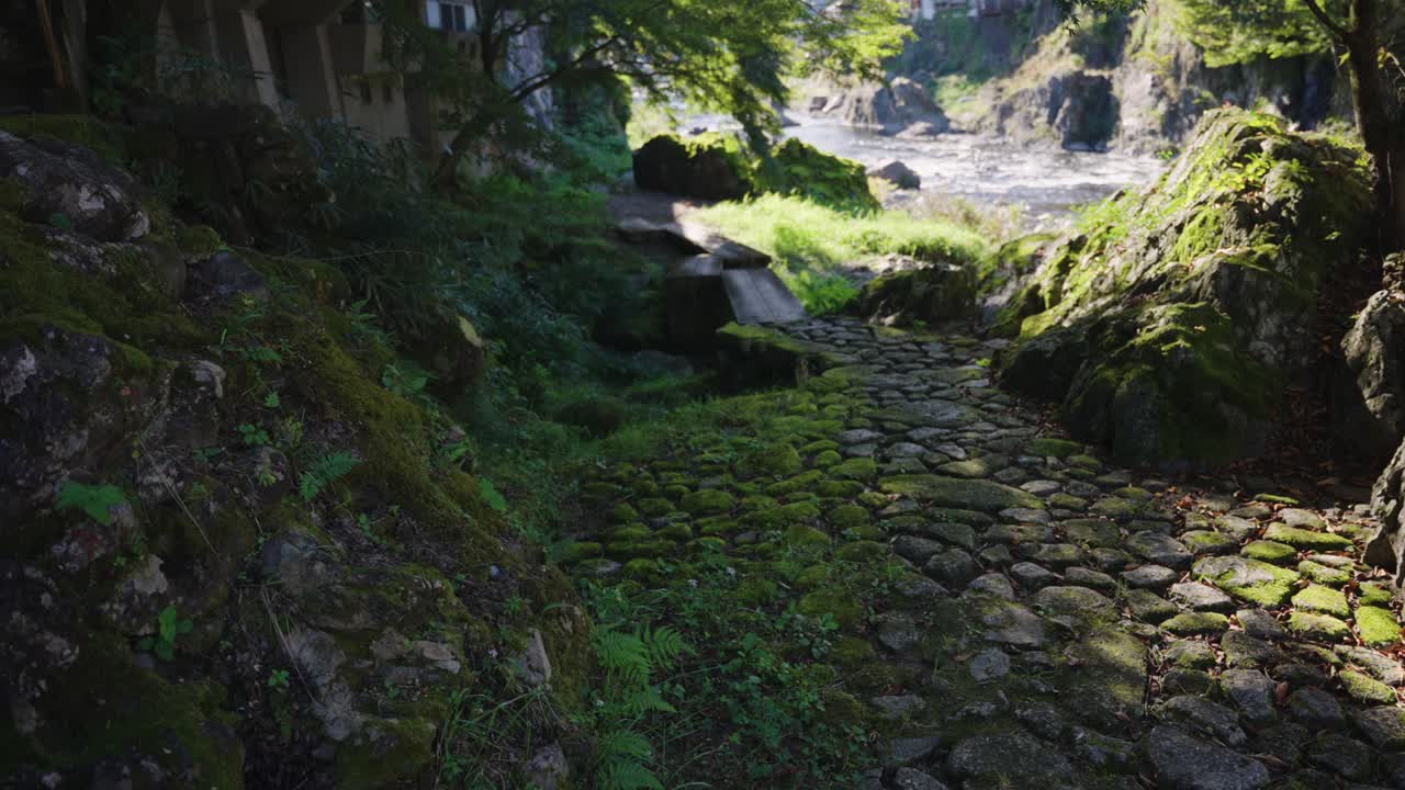 Moss covered cobblestone path in secluded Gujo Hachiman, Gifu Prefecture Japan