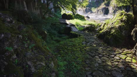 Moss-covered-cobblestone-path-in-secluded-Gujo-Hachiman,-Gifu-Prefecture-Japan
