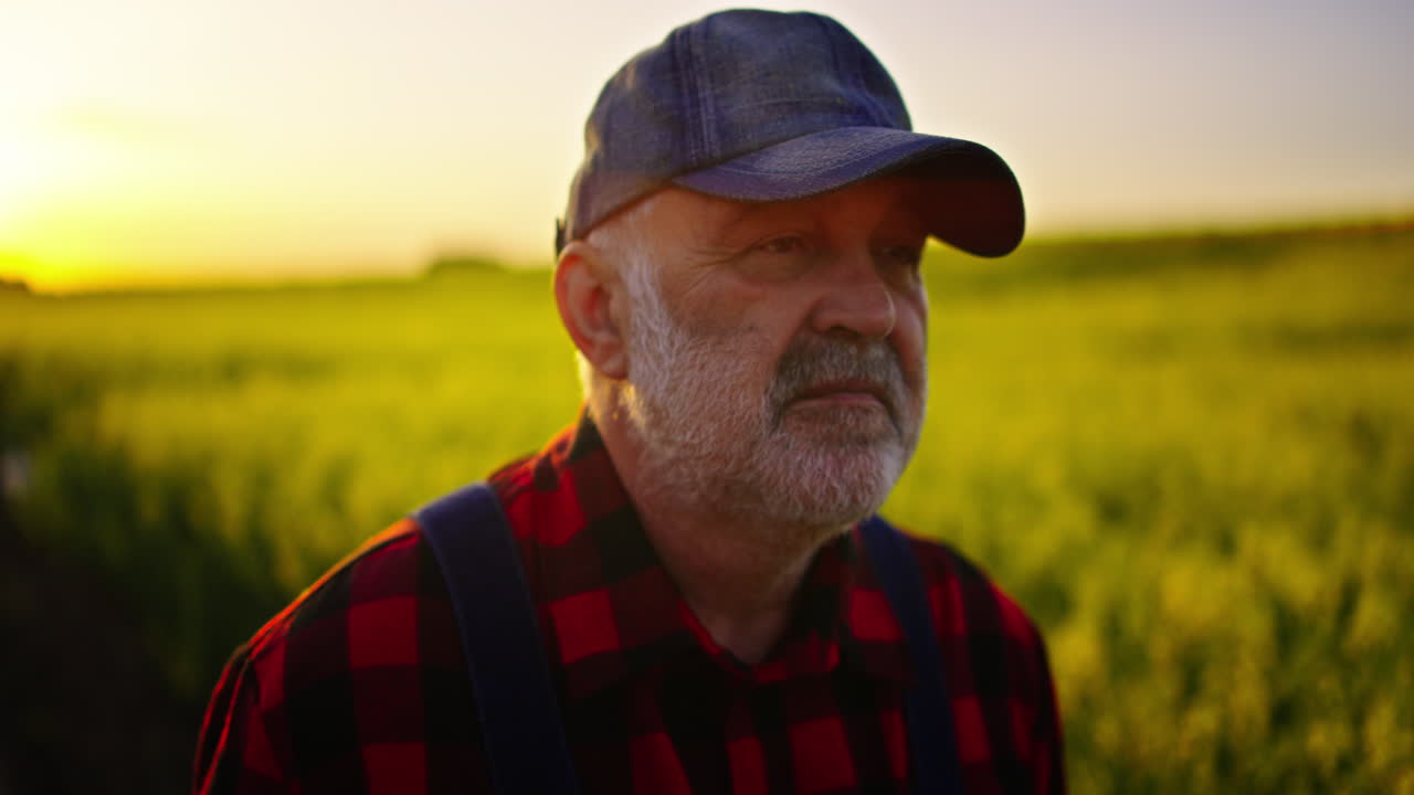Tankefuld ældre landmand stående på en gylden mark ved solnedgang