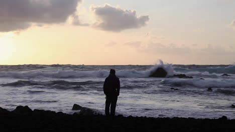 Tiefdenker-Am-Strand-Azoren-Insel-Sao-Miguel-Spanien