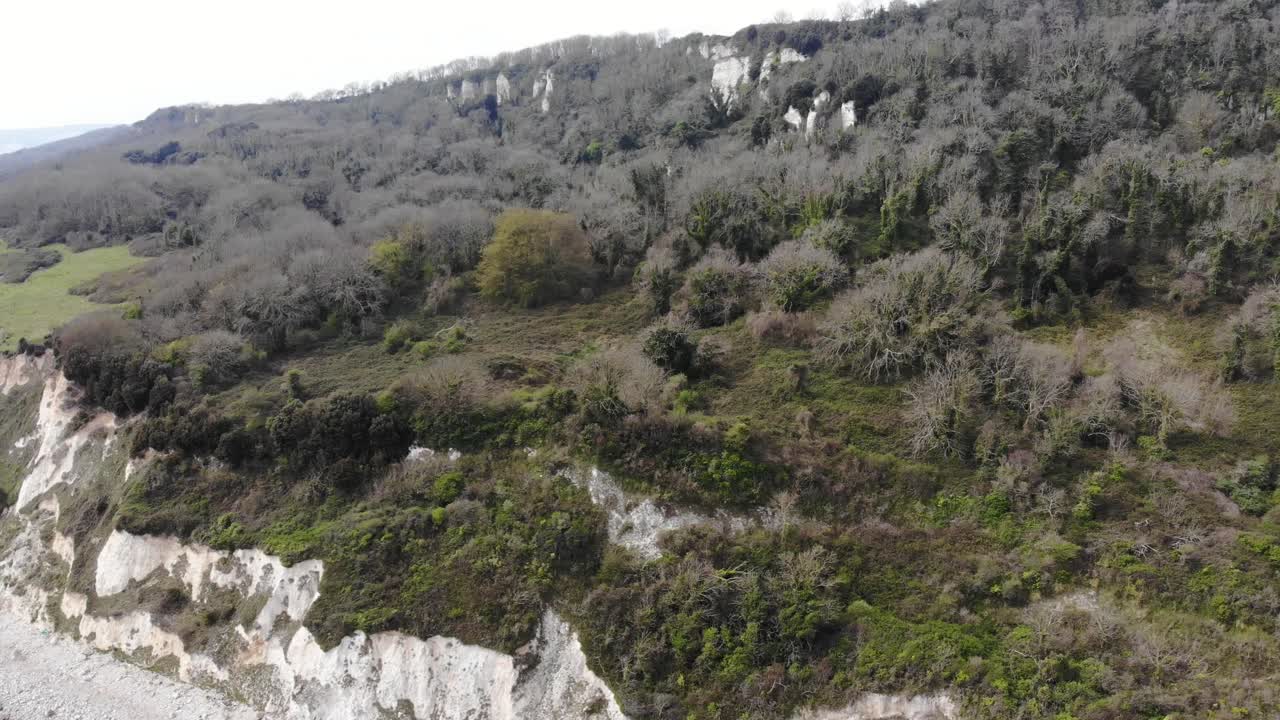 Aerial View Of Dense greenery spreads across the Seaton undercliffs, showcasing the natural beauty and rugged terrain of Lyme Regis' coastal landscape