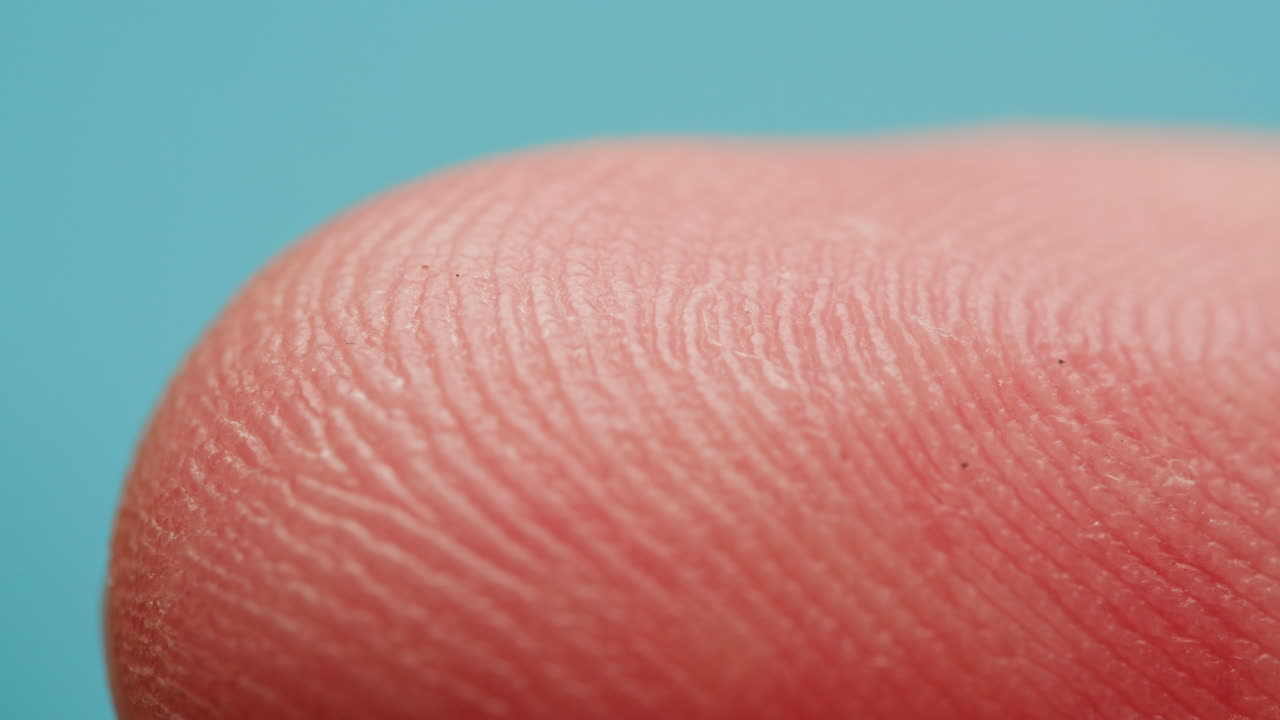 Close-up of Fingerprint Ridge Patterns