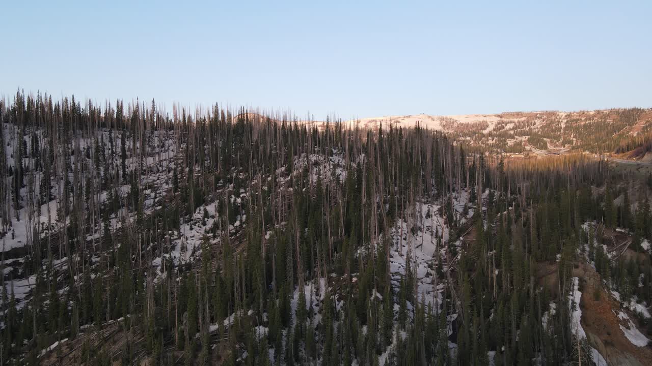 sol saliendo sobre el bosque nacional río grande a principios de la primavera