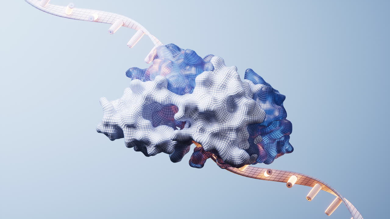 rna와 단백질의 생물학적 개념, 3d 렌더링