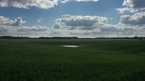 Flying-Above-Green-Fields-And-Pond-In-Countryside-Warmia,-Poland---drone-shot