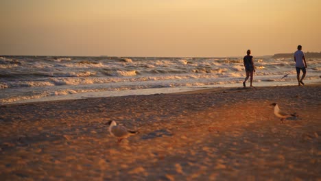 man and woman walking on the seashore at sunset. evening background with waves on sea water and people going along the beach. many seagulls flying over the seascape.