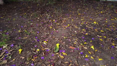 yellow and purple flowers scattered on the ground