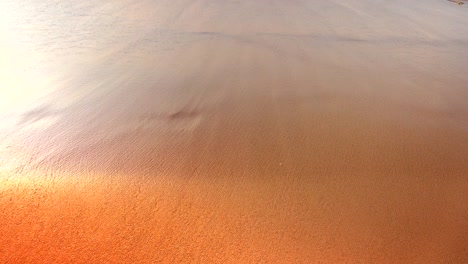 un bucle continuo de pasos descalzos en la arena de la playa, olas suaves