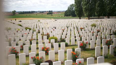 Headstones-at-a-War-Memorial-Cemetery-amongst-a-beautiful-Green-Garden-with-Red-Roses-in-Ypres-Beglium,-sliding-handheld-shot