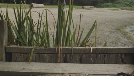 Ecke-Aus-Holzbrettern-Mit-Plänen-Dahinter-Und-Strand