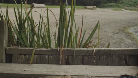 wooden boards corner with plans behind and beach