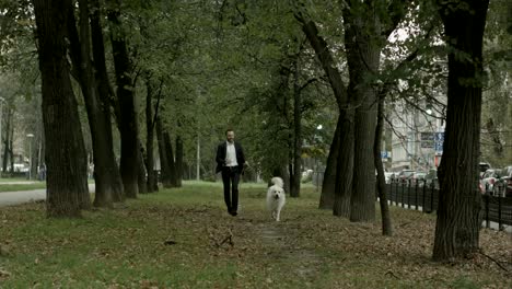 business man running with playful big white dog in the green city park