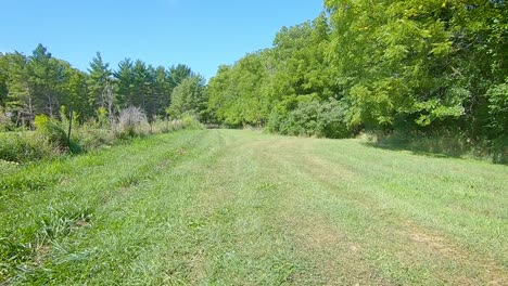 Pov-Fährt-An-Einem-Sonnigen-Sommertag-Einen-Kleinen-Traktor-über-Eine-Grasfläche-Und-Dann-Einen-Weg-In-Bäume