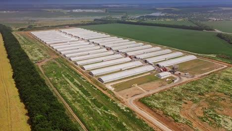 aerial view of modern chicken houses. new construction area for livestock on the green fields background in rural place.