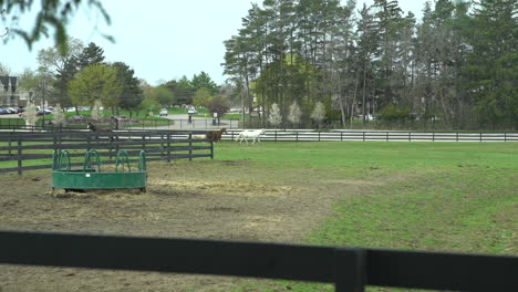 Horse-running-in-a-green-enclosure-shed-next-to-a-road