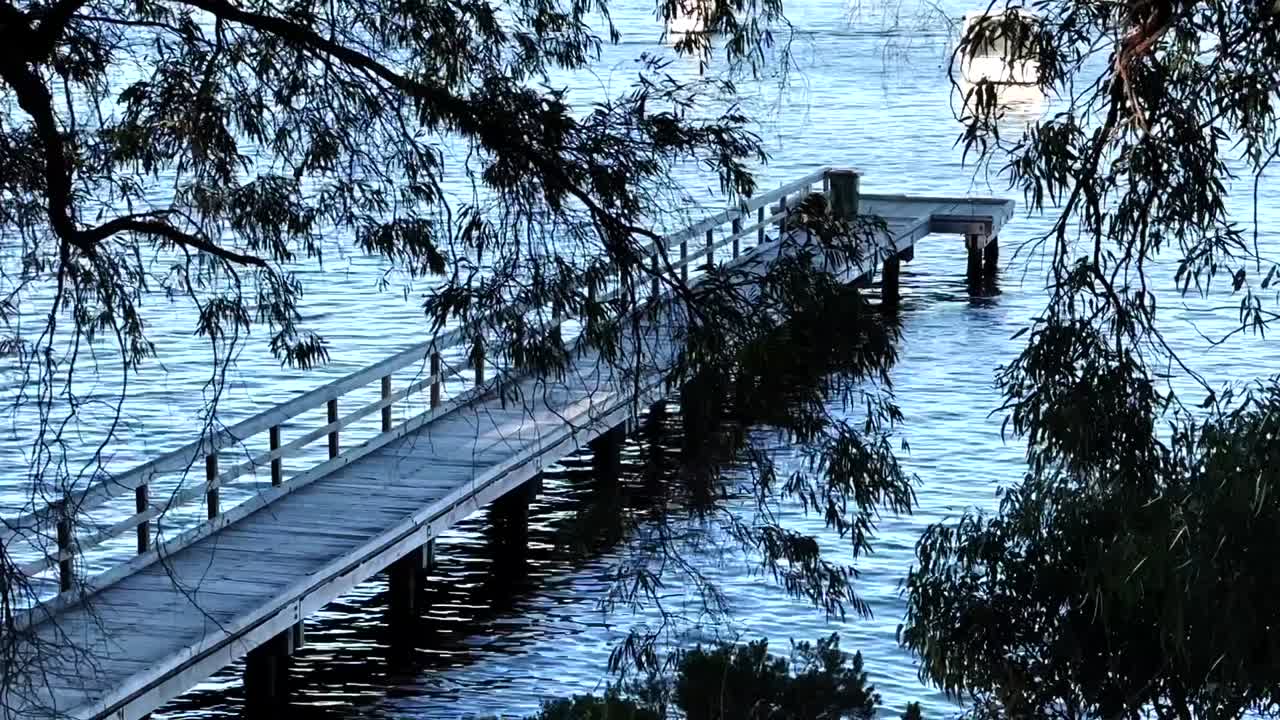 웨스턴 오스트레일리아 퍼스 의 페퍼민트 그로브 에 있는 스완 강 에 있는 배 를 타기 위해 긴 부두 를 따라 나 ⁇ 가지 를 통해 바라보고 있다