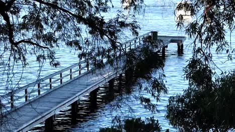 Looking-through-branches-along-Long-Jetty-to-boat-on-Swan-River-at-Peppermint-Grove,-Perth,-Western-Australia