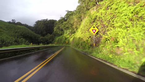 pov car driving in maui hawaii