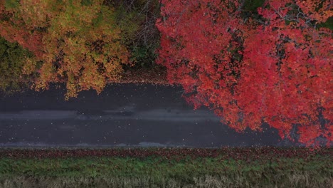 Mirando-Hacia-Abajo-En-El-Camino-De-Otoño