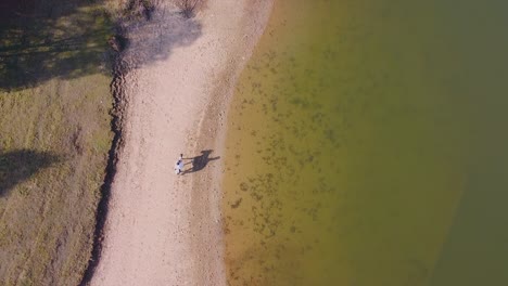 Horse-riding-on-a-beach-drone-shot