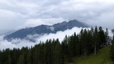 scenic drone flight around european pine forest with cloudy mountainous background landscape