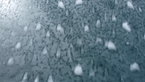 frozen canadian lake with unique bubbles in the crystal clear ice