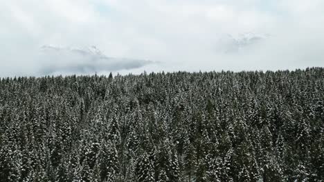 在加拿大不列颠哥伦比亚省的雪<unk>森林和云覆盖的山景上,