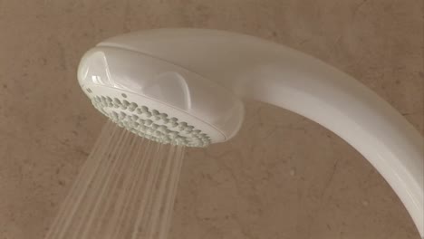 Shower-Head