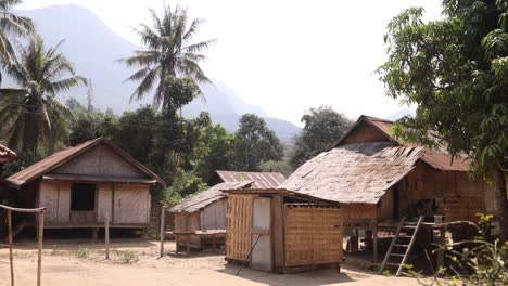 small village huts and palm trees in the mountain town of nong khiaw in laos, southeast asia