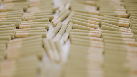pre-roll cannabis kief infundido juntas apiladas en bandeja de fábrica, cámara de sobrevuelo, enfoque selectivo