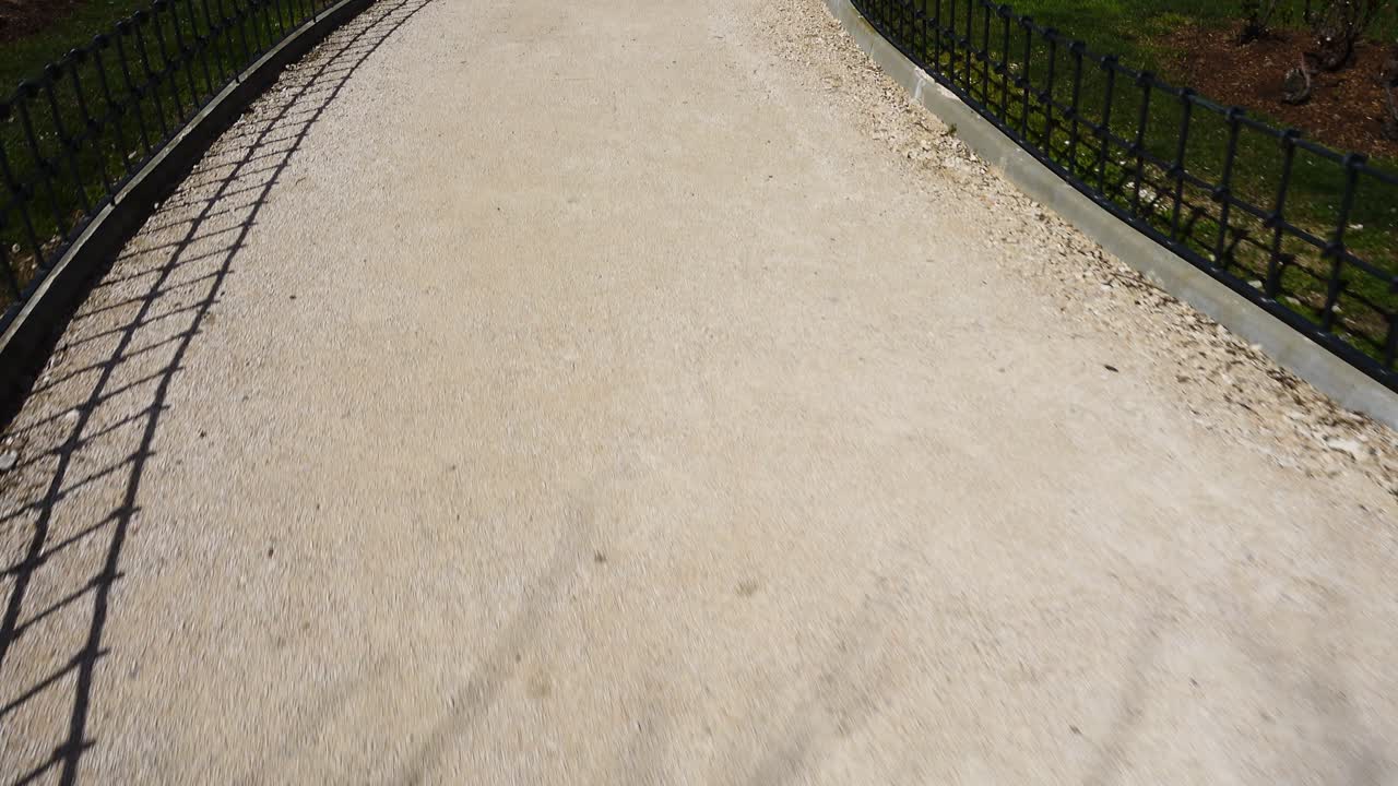 Il viale nel parco, primavera. Madrid, Spagna. Riprese in primavera