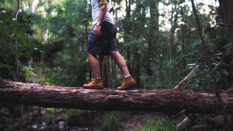 el hombre se equilibra sobre un árbol caído en el bosque