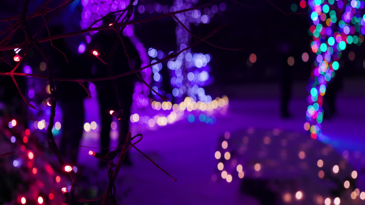 Magical Winter Night: Christmas Lights and Bokeh