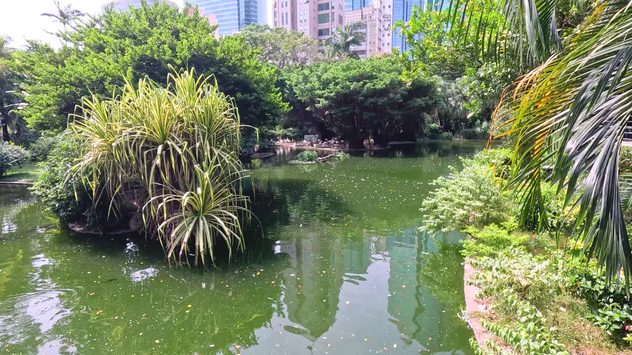 울창 한 초록색 이 조용 한 도시 연못 을 둘러싸고 있다