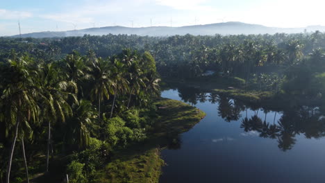 Bosque-De-Palmeras-Con-Reflejo-En-El-Agua-Del-Río-Y-Molinos-De-Viento-De-Energía-Sostenible-En-El-Horizonte,-Tiro-Aéreo