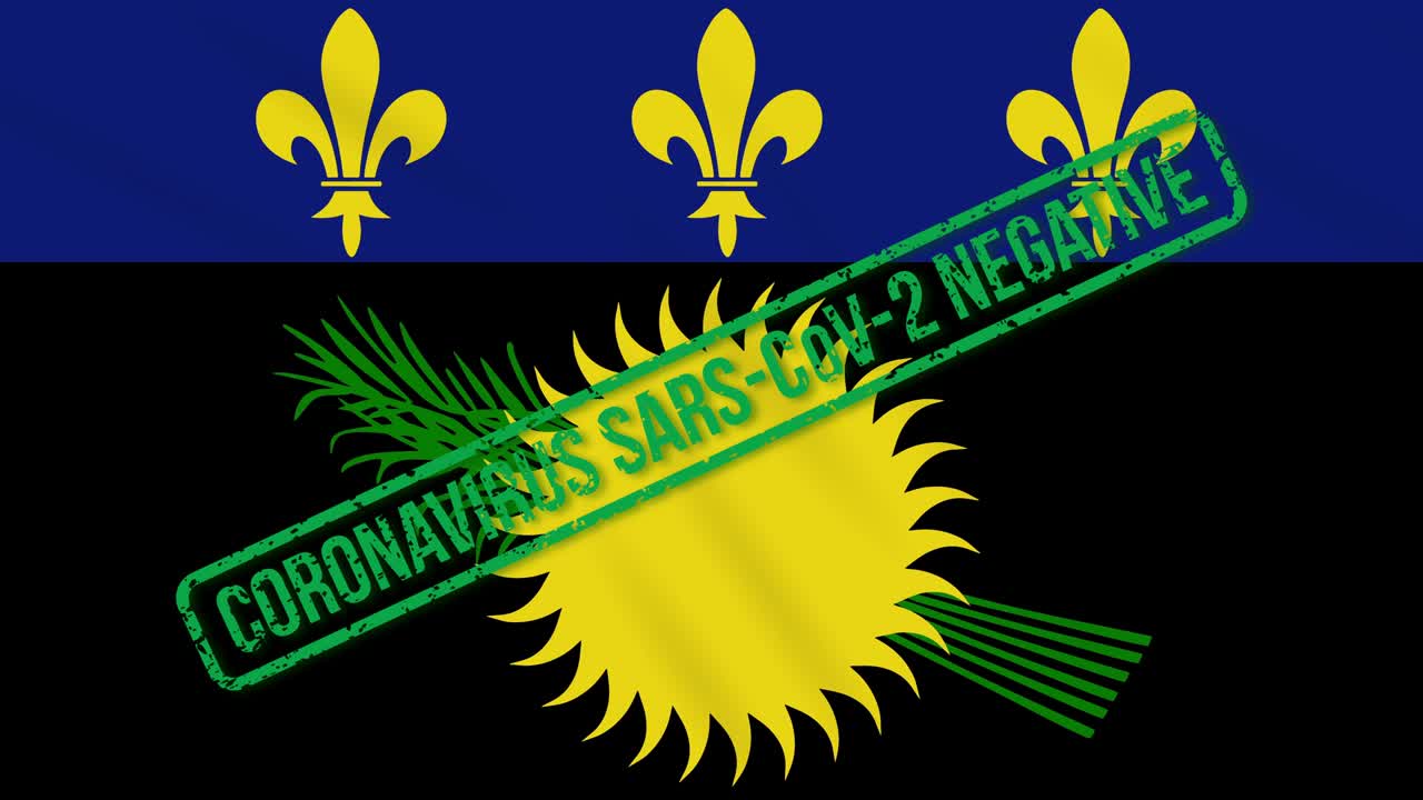 guadeloupe balanceando una bandera negra con el sello verde de la libertad del coronavirus, bucle