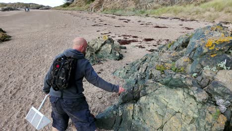 following man walking dog on beautiful sandy rocky welsh beach for early morning exercise